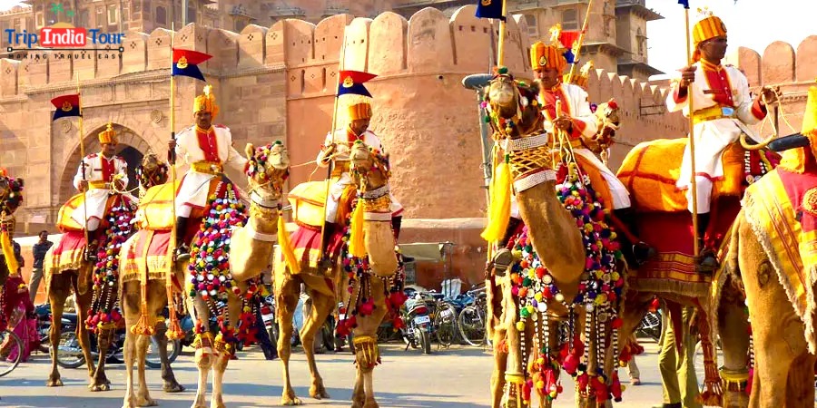 Exclusive Rajasthan trip 6N/7D